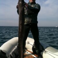 Francisco Malafaya - pesca